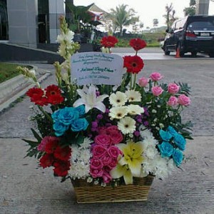 Arif florist